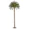 5ft. Pre-Lit Palm Artificial Christmas Tree, Warm White LED Lights